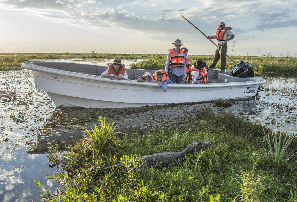 des touristes sur un bateau observant les caimans dans un lac des Marais de l'Ibera