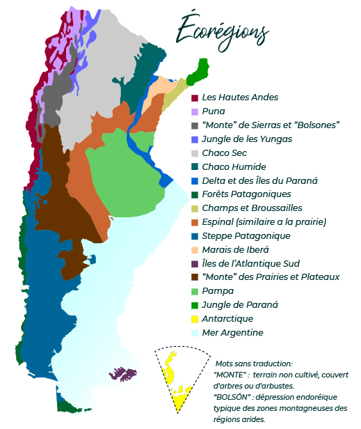 carte des écorégions de l'Argentine