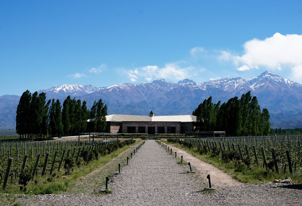 vignoble salentein avec le champ et paysage de montagne a mendoza sur la region de Cuyo en Argentine