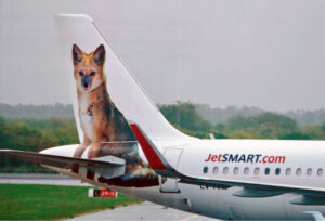 photo de la queue d’un avion de jetsmart. L’image d’un renard a été peinte sur la queue.