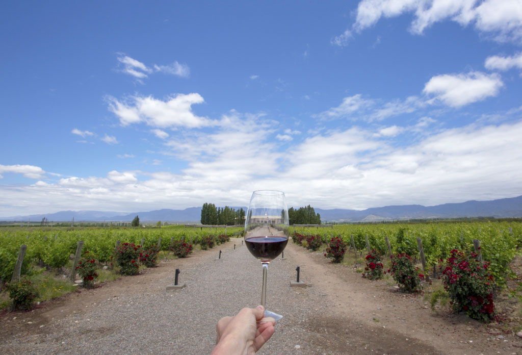 une main tient un verre de vin entre les vignes avec un paysage de montagne et en arrière-plan la cave. image similaire qu'on put trouver a Luján de Cuyo ou Vallée de Uco