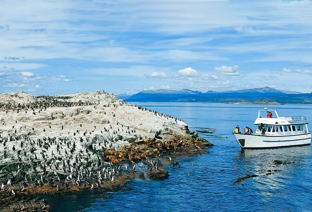 Photo du canal Beagle. Île sur laquelle se trouvent des cormorans et des otaries. À quelques mètres se trouve un yacht.