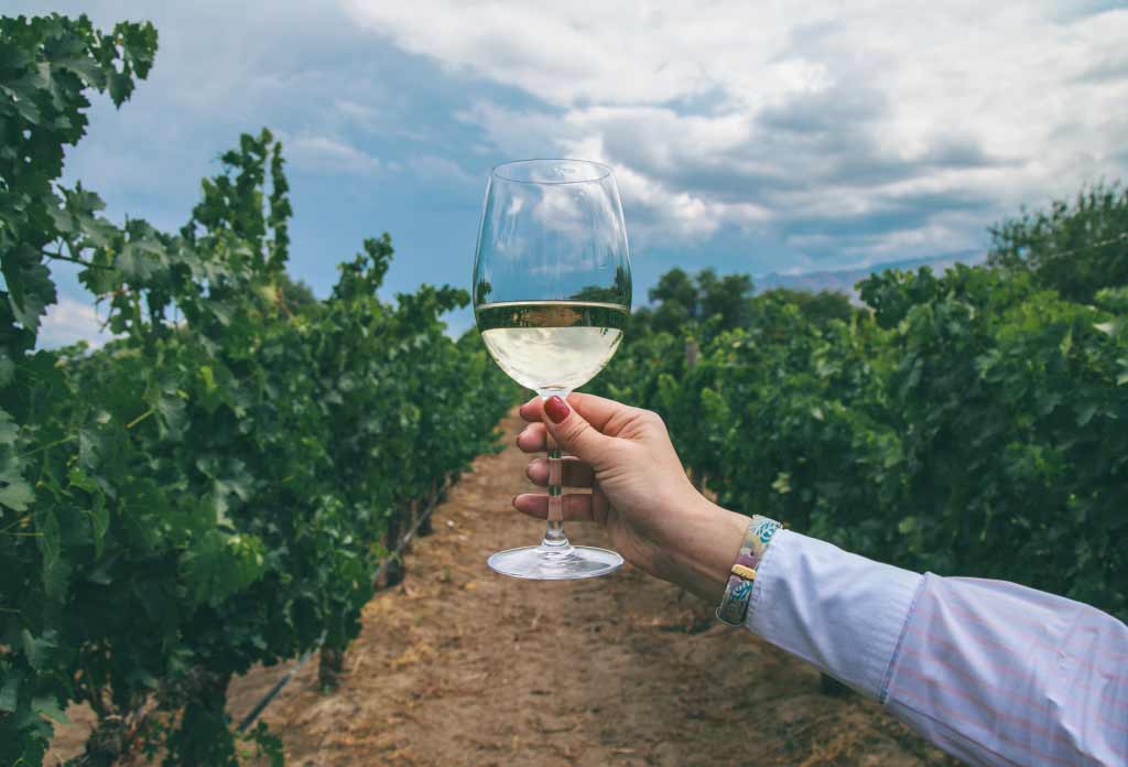 une femme tenant un verre de vin blanc au milieu d'un vignoble