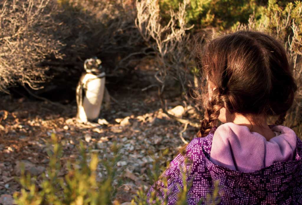 une fille sur le dos observe un pingouin à quelques mètres. C’est une réserve naturelle des 5 lieux pour observer les manchots en argentine